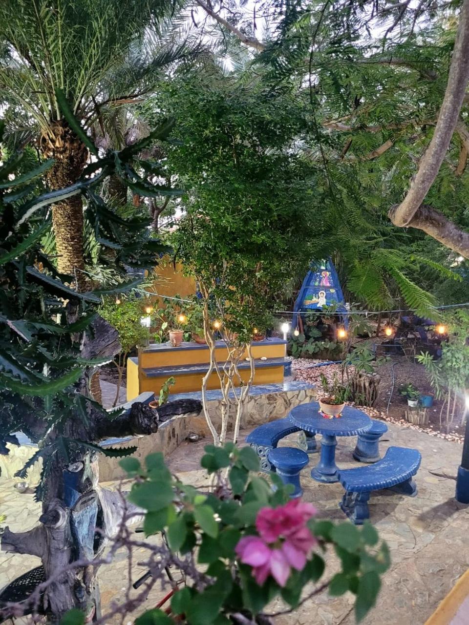 فندق Steviewonderland Playa El Yaque المظهر الخارجي الصورة
