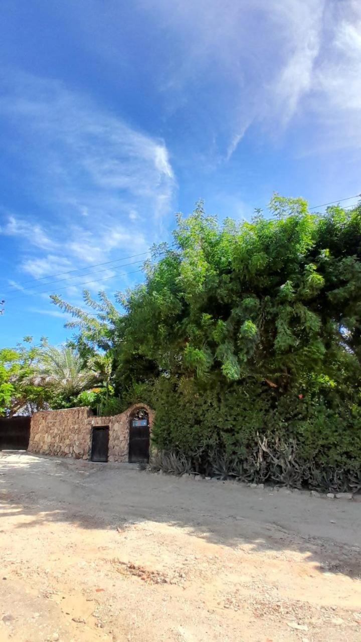 فندق Steviewonderland Playa El Yaque المظهر الخارجي الصورة