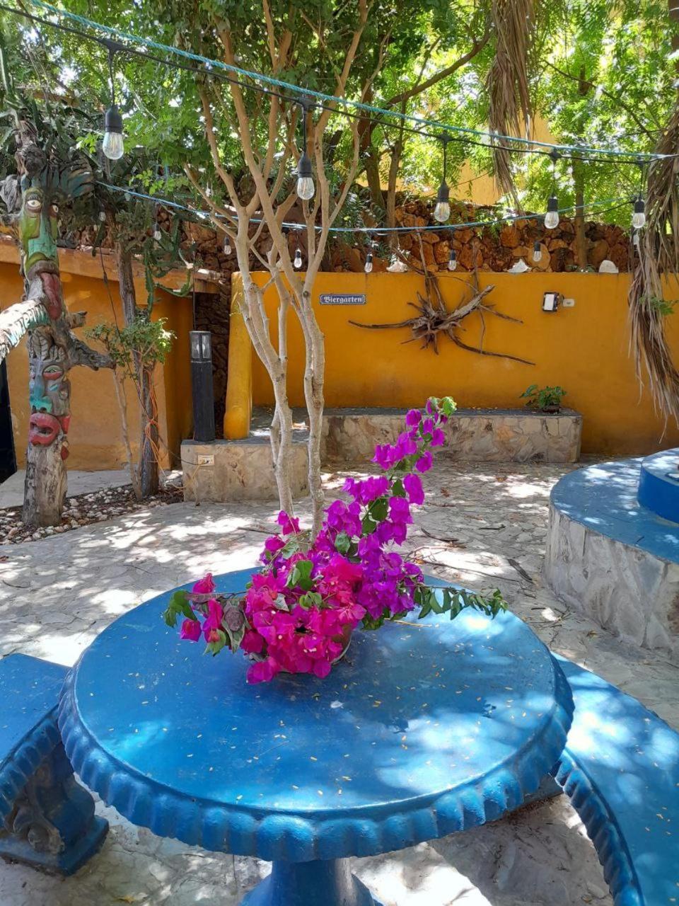 فندق Steviewonderland Playa El Yaque المظهر الخارجي الصورة