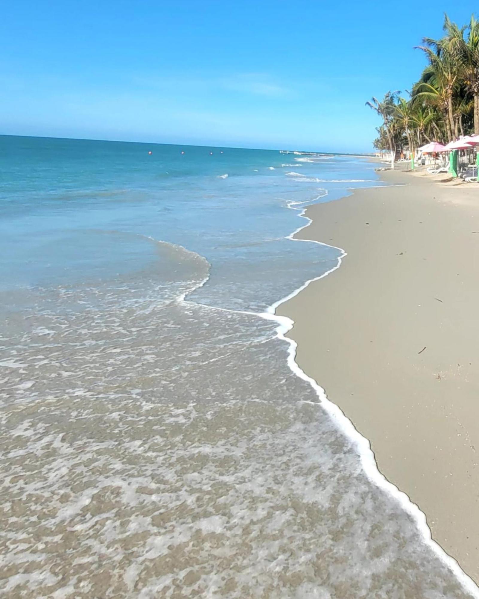 فندق Steviewonderland Playa El Yaque المظهر الخارجي الصورة